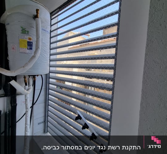 רשת מתכת על חלון למניעת כניסת יונים